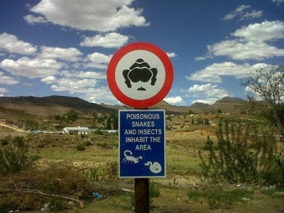 weird traffic laws