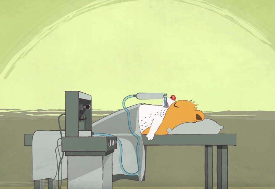Here s how anesthesia works and what it does to your body oddee