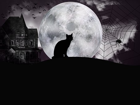 31 Halloween Fun Facts You Need For October 31st Oddee 31 Halloween Fun Facts You Need For October 31st Oddee