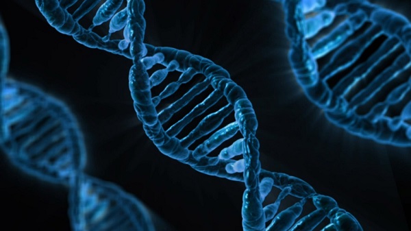 Biohacking DNA Biohacking DNA