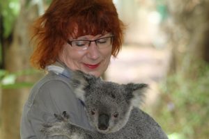 koala-185736__340-300x200.jpg