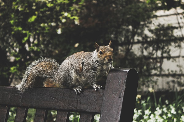 Photo by Romain Rullaud on Unsplash
