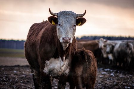 Photo by Artis Kan?s on Unsplash