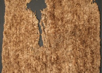 Thank You, Turkey: Ancient Feather Blanket Sheds Light on American History