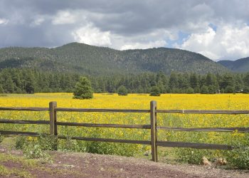 Post-Quarantine Travel Plans You Should Make in the US