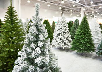 How Poor is Using a Fake Tree at Christmas, Poor?