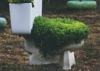 Pee Could Help Future Settlers on Mars Grow Vegetables