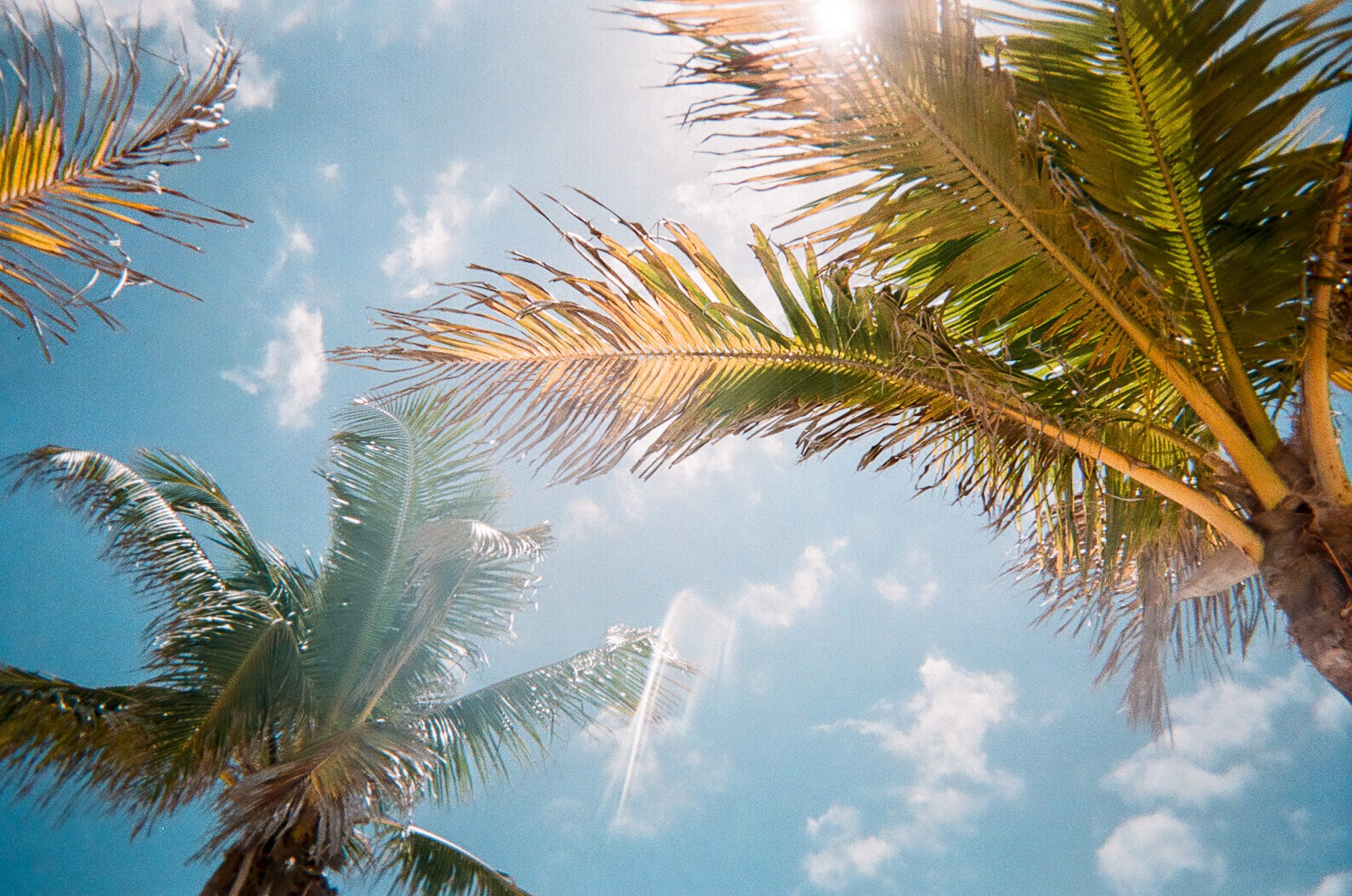 The Craziest Florida Man June 18th Story You'll Ever Read