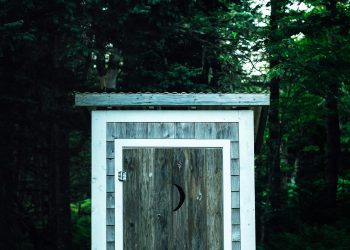 Women Attacked by Bear Inside a Toilet