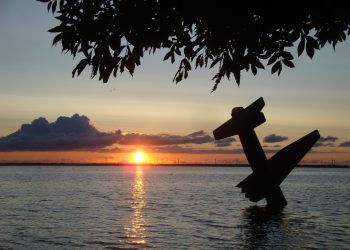 Airplane Stunt for Gender Reveal Party Kills 2