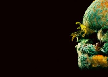 Latest Internet Fad Has People Eating Rotten Meat to Get High