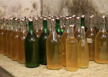 Ukrainian Authorities Seize 1,500 Bottles of Booze Made in Chernobyl