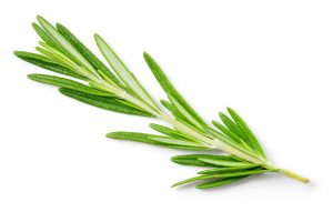 istockphoto 1279972183 170667a