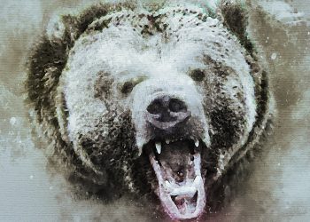 Alaskan Bear Terrorizes Man for Days Before Rescue