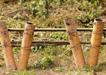 Be Careful with Fireworks This Season, And Year Around