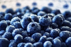 blueberries 3460423 1920