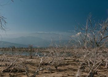 6 Weirdest Natural Disasters in History