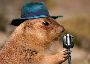 Is Singing Just a Matter of Natural Talent?