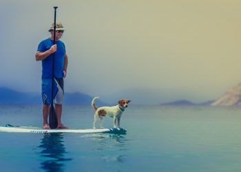 Three Underrated Ways You Can Spend Your Evening