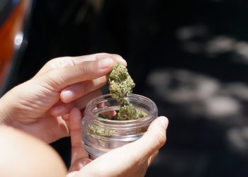 Florida Bride and Caterer Laced Wedding Food with Cannabis — Without Telling Anybody