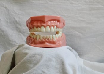 6 Creatures You Really Don’t Want Biting You