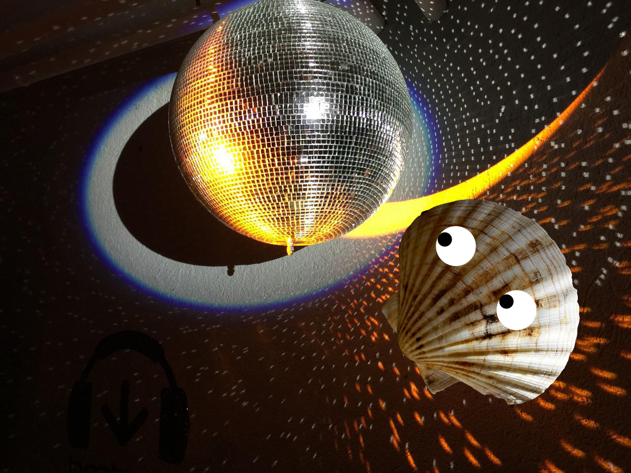 Scallop Disco Scientists Accidentally Find Groovy and Sustainable