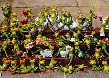 6 Largest Collections of Weird Stuff in the World