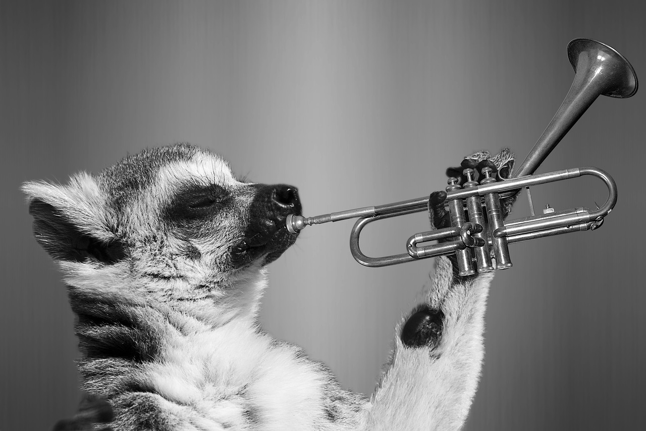 8 Weird Facts about Lemurs for World Lemur Day - Oddee