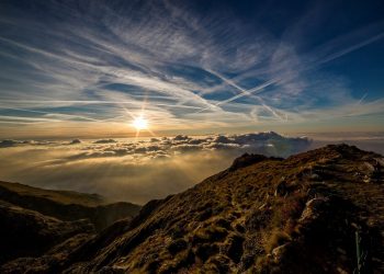 The Truth About Your Cell and Your Sleep