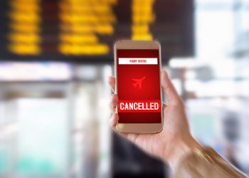  13 Strangers Get a Van Together After Cancelled Flight