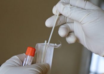 Family of Five Was Already Family According to DNA Results: Part One