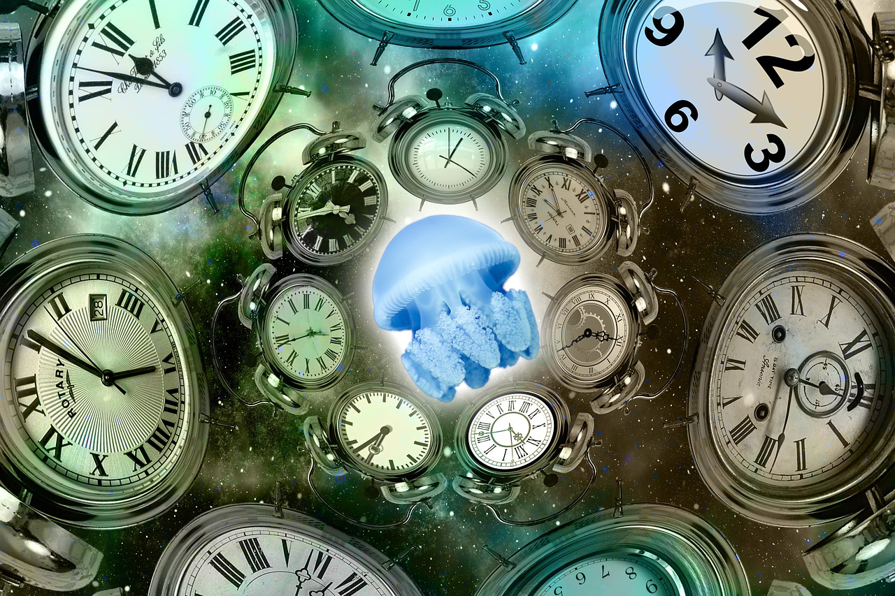 8 Amazing Animals that Live into the Triple Digits (or Beyond) - Oddee