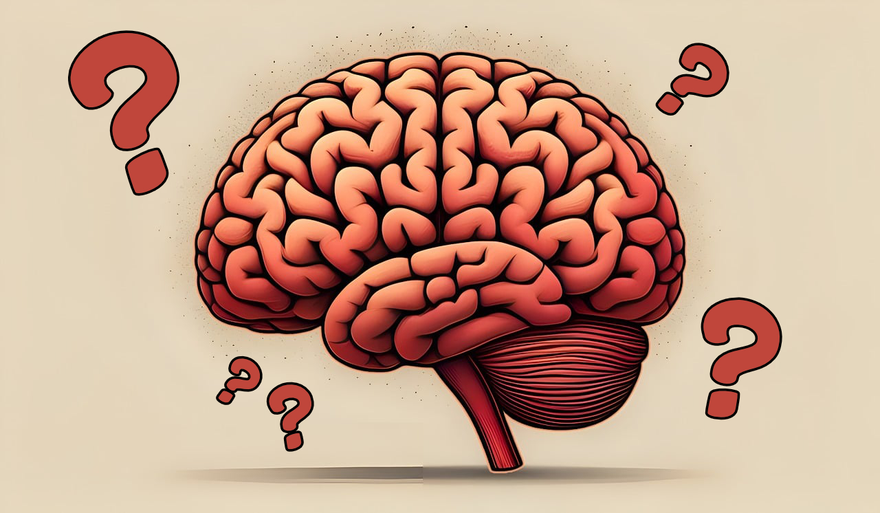 6 Strange Phenomena That Show Your Brain is Incredibly Dumb - Oddee