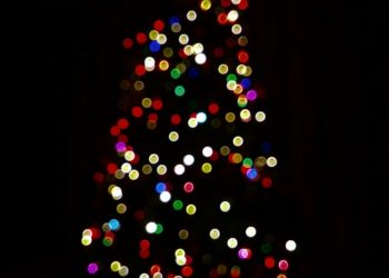 77 Christmas Lights Fun Facts Since It’s The Season
