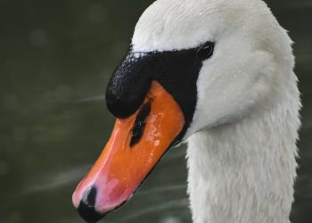 Weird Florida Facts You Don’t Already Know