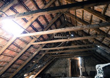 7 Bizarre Things People Found in Their Attics