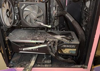 Gaming PC Saves Woman from Being Shot in the Head (by Neighbor’s Dog)