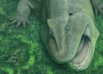 Meet the Prehistoric Slack-jawed Freak That Left Scientists Confused