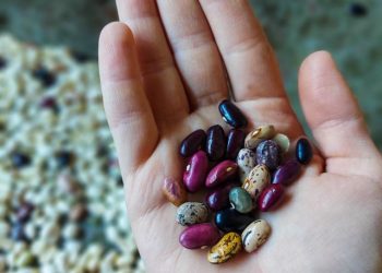 Strange But True Health Swaps So You Can Ditch Pharma