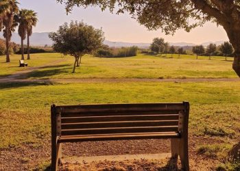 50 Interesting Fun Facts About A Sunny Afternoon
