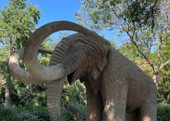 15 Reasons Scientists Might Bring Back the Woolly Mammoth