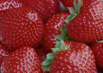 The Weirdest Things To Eat With Fruit