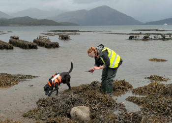 Dog That Hunts ‘Sea Vomit’ Wins Animal of the Year Award