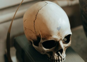 9 Odd and Creepy Past Uses for Human Body Parts