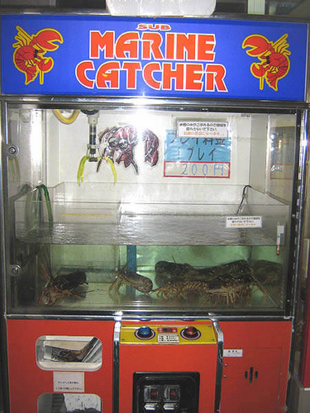 12 Bizarre Vending Machines - strange vending machines - Oddee