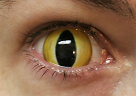 15 Strangest Contact Lenses - contact lenses, eyes contact lenses - Oddee