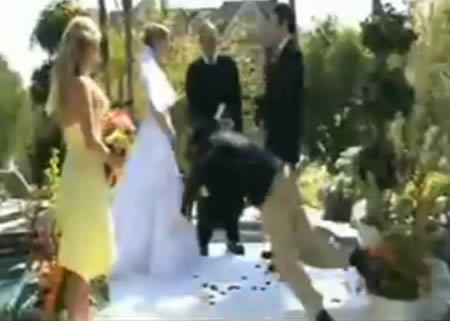 10 Funniest Wedding Fails - wedding fail - Oddee