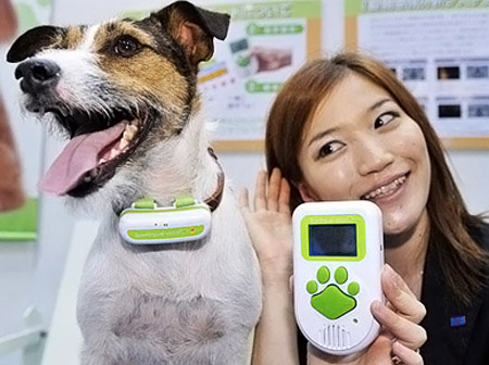 Unusual deals dog toys