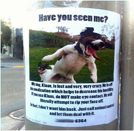 how to make a lost dog poster