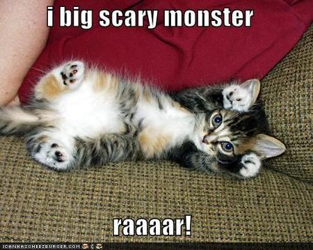 Lookin' sus - Lolcats - lol, cat memes, funny cats, funny cat pictures with words on them, funny pictures, lol cat memes
